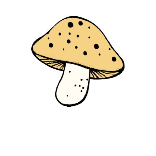 Mushroom Collection