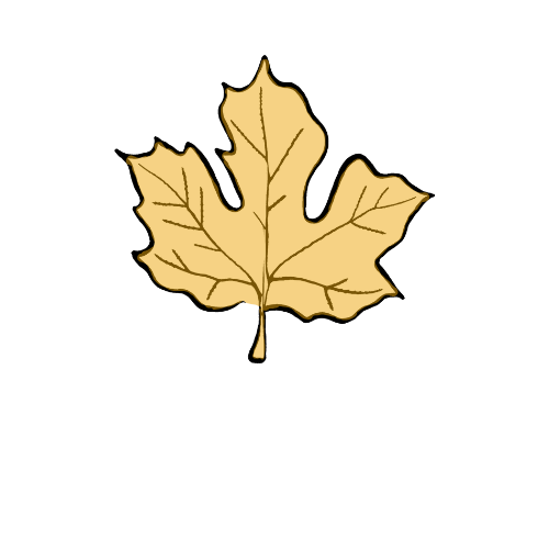 Leaves Collection